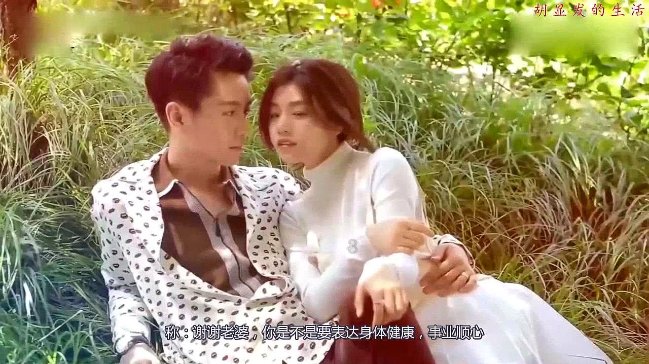 动物狂欢夜